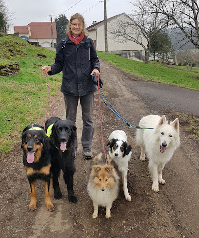 Educateur Et Comportementaliste Canin, Dresseur De Chiens à Villersexel
