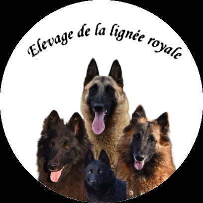 ELEVAGE DE LA LIGNEE ROYALE, Eleveur de Chiens à Verfeil