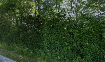 Cabrenysset, Eleveur de Chiens à Vicq-sur-Breuilh