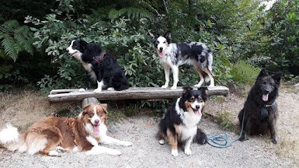 Around Dogs 29 - Dog Trainer And Behaviourist, Dresseur de Chiens à Quimper