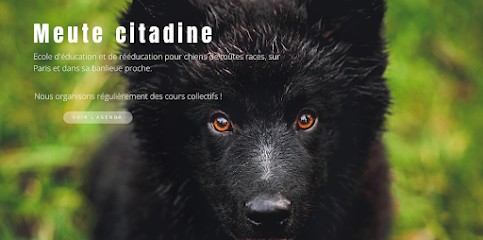 Meute citadine éducateur/comportementaliste canin, Dresseur de Chiens à Montigny-le-Bretonneux