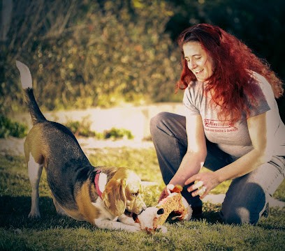 Cani-coach Paca, Dresseur de Chiens à Sainte-Tulle