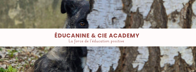 Éducanine & Cie Academy Dresseur De Chiens à Corbeil-Essonnes