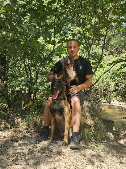 Dog's Time 13, Éducateur Comportementaliste Canin À Aix En Provence Et Les Bouches-Du-Rhône, 13, Dresseur De Chiens à Aix-en-Provence