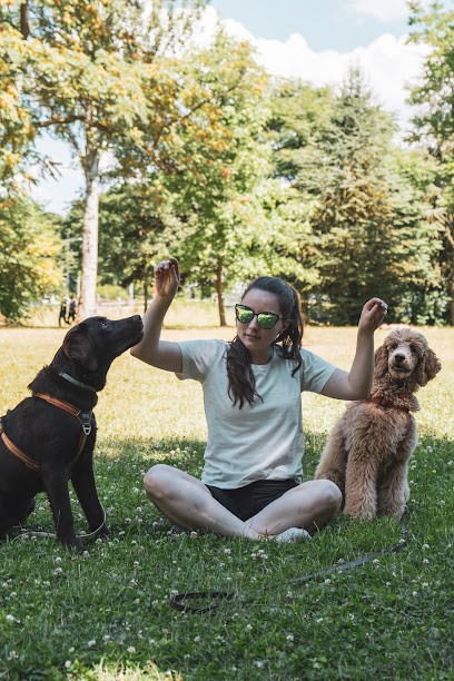 Alter Ego - Pension éducative bienveillante, Pension pour Chiens à Truchtersheim