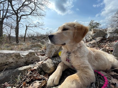 Minla Education, Dresseur de Chiens à Saint-Laurent-du-Var