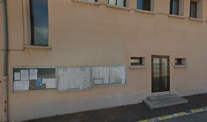 L' élevage des perles de Dustie, Eleveur de Chiens à Saint-Usage