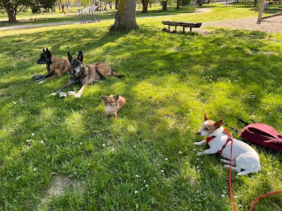 SuperDog Education Canine, Dresseur de Chiens à Verdun-sur-Garonne