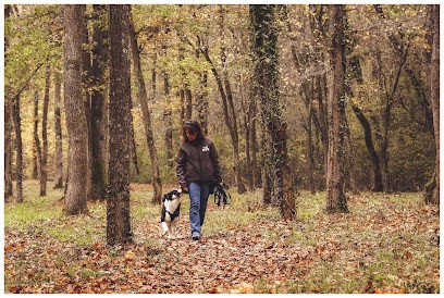 Maï Dog - Éducateur Comportementaliste Canin, Dresseur de Chiens à Merville