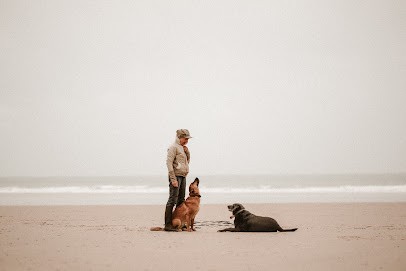 Sciodog, Dresseur de Chiens aux Pieux