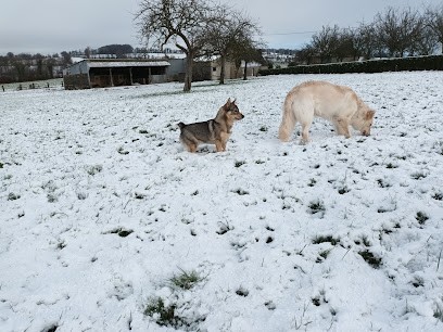 L'Ancien Monde, Pension pour Chiens à Vire Normandie