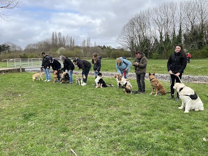 Chiens Malins, Dresseur de Chiens à Thiais