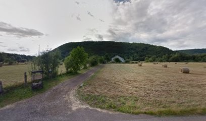 LEONBERG LA VALLEE DE CHEYENNE, Eleveur de Chiens à Faucogney-et-la-Mer