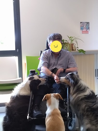 Ama Canis- Médiation Animale, Dresseur de Chiens à Saint-Julien-sur-Bibost