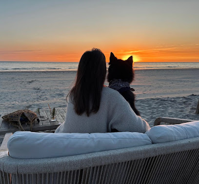 Les Aristochiens, Dresseur De Chiens au Touquet-Paris-Plage