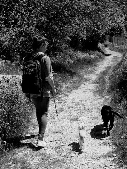 Alpa'dog Éducateur et comportementaliste canin, Dresseur de Chiens à Puget-Théniers