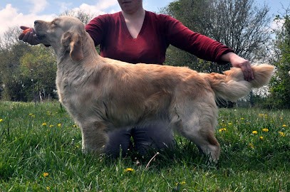 Des Terres de Flore, Eleveur de Chiens à Courtomer