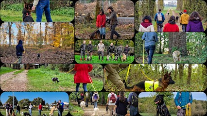 Dogsana, Dresseur de Chiens à Saint-Sauvant