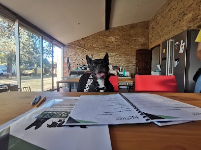 Educateur canin - Ti Dog Éducation, Dresseur de Chiens à Moyon Villages