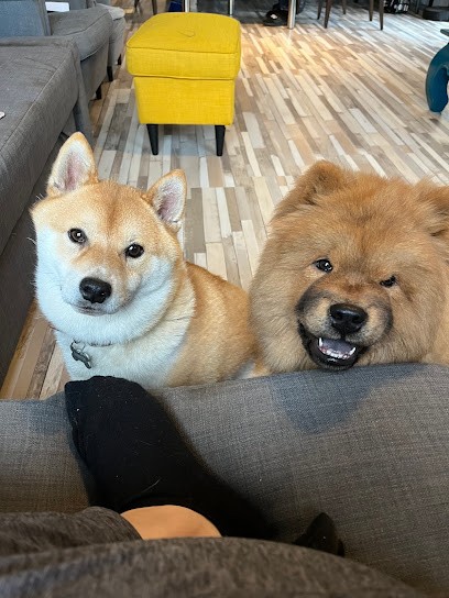 elevage de la rania, Eleveur de Chiens à Callas