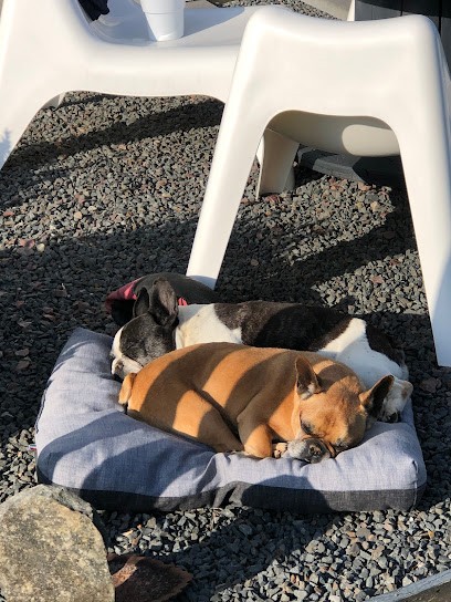 Elevage / pension canine La Sauvignère, Pension pour Chiens à Thue et Mue