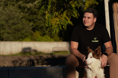 Canilogy - Éducateur Et Comportementaliste Canin - Montpellier Et Alentours Dresseur De Chiens à Montpellier