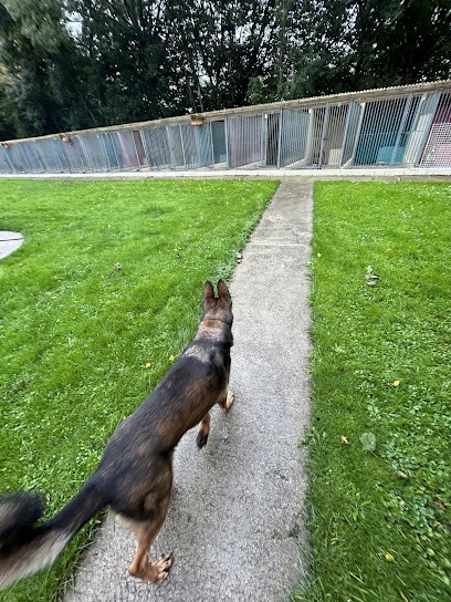 Pension du Mont Liévain, Pension pour Chiens à Thieux