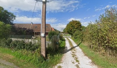 Illuyankas Dog Center/ élevage Illuyankas, Eleveur de Chiens à Nance