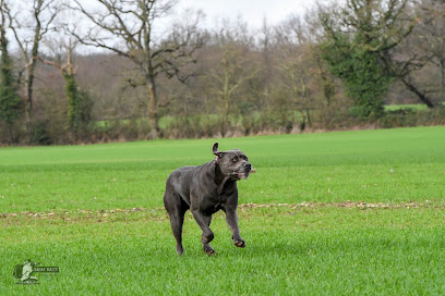 Club Canin Vvsc85 Dresseur De Chiens à Venansault
