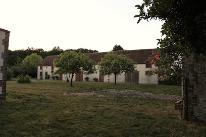 Elevage Golden Retriever De La Petite Sulka, Eleveur de Chiens à Mitry-Mory