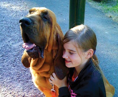 du Hameau Jouas, Eleveur de Chiens à Vesdun
