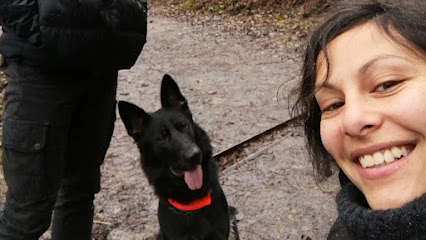Jade Éducation Canine, Dresseur De Chiens à Vaux-sur-Seine