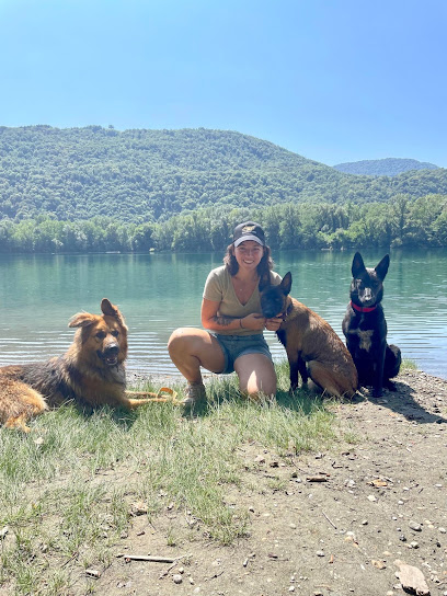 Educ-Inu - Éducateur Canin - Grenoble & Grésivaudan, Dresseur De Chiens à Gières