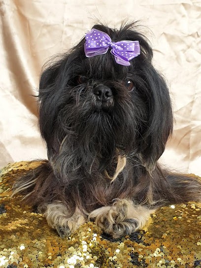 les lutins de la forêt, Eleveur de Chiens à Villefranque