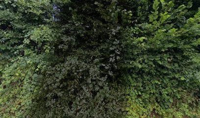 Le Chant des Loups, Eleveur de Chiens à Saint-Just