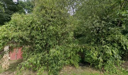 Jess’educ - éducateur Canin, Dresseur de Chiens à Saint-Aubin-d'Aubigné