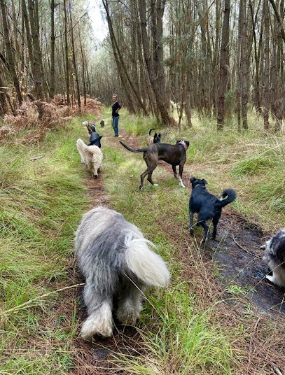 Les Copains D’Abord, Dresseur de Chiens à Magescq