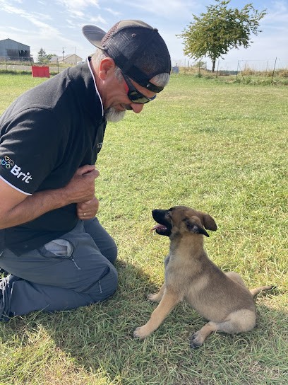 centre Canin du Longeau, Pension pour Chiens à Allamont