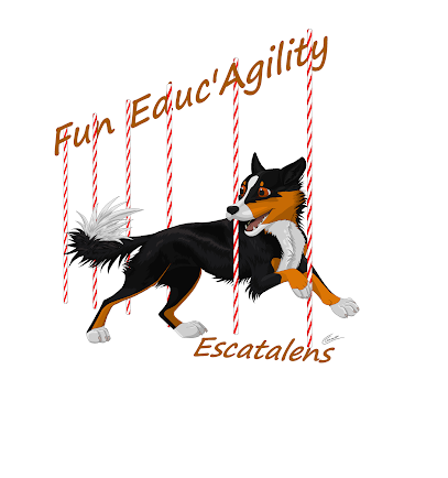 Fun Educ'agility, Dresseur De Chiens à Escatalens
