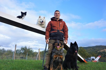 Canidélite Perpignan OUEST, Dresseur de Chiens à Millas