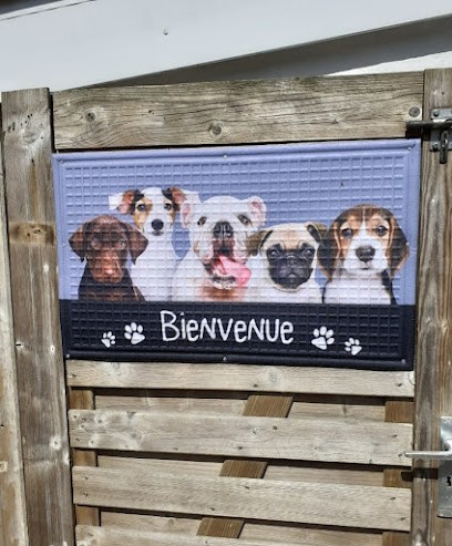 Les Champs Alysée, Pension pour Chiens à Henneveux