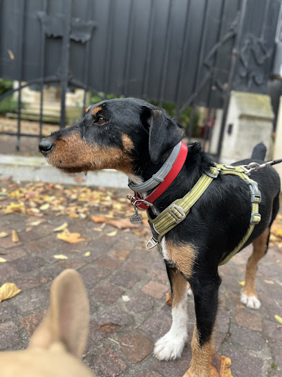 Bbsitting Pension Pour Chien à Rueil-Malmaison