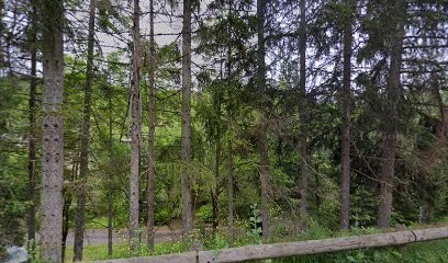 Elevage canin Akita américain Of American Dark Knight, Eleveur de Chiens à Marvejols