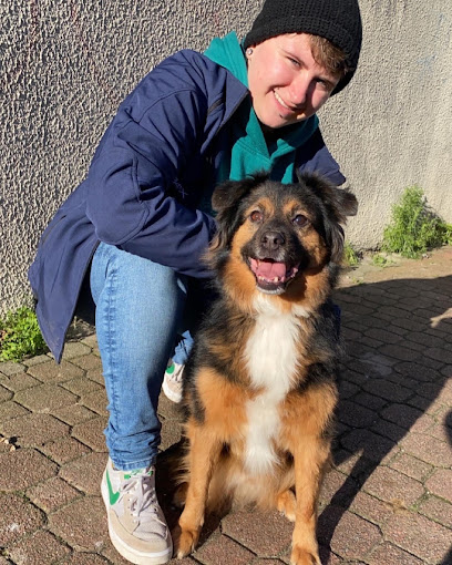 Caractère De Wouf - Comportementaliste Éducateur Canin Dresseur De Chiens à Calais