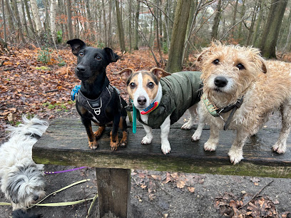 L'atelier Des Haustiers, Pension Pour Chien à Saint-Georges-Motel