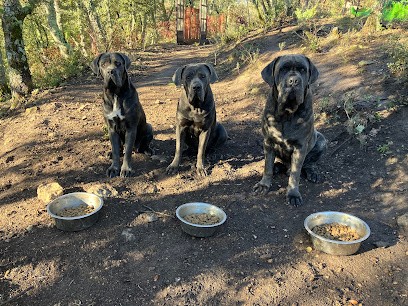 20 000 lieues sous les chênes, Eleveur de Chiens au Beaucet