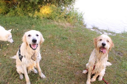 Canis Major, Dresseur de Chiens à Villeneuve-en-Retz
