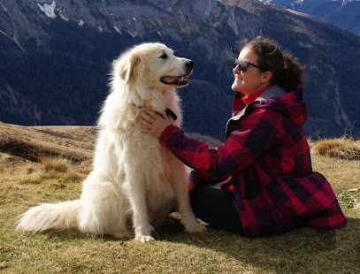 AuTour De Mon Chien, Dresseur de Chiens à Saint-Faust