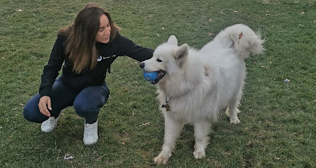 Comportementaliste Chat Et Chien, Service De Promenade Pour Chien, Pet Sitting - Pet Care, Dresseur De Chiens à Paris 06