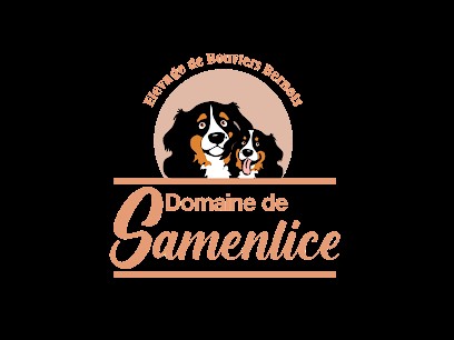 Elevage Bouviers Bernois Domaine de Samenlice, Eleveur de Chiens à Poussanges